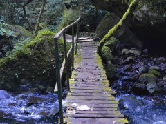 Encante-se no Parque das 8 Cachoeiras e Lago São Bernardo - São Chico - RS